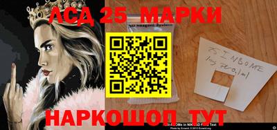 мяу мяу мука Гатчина