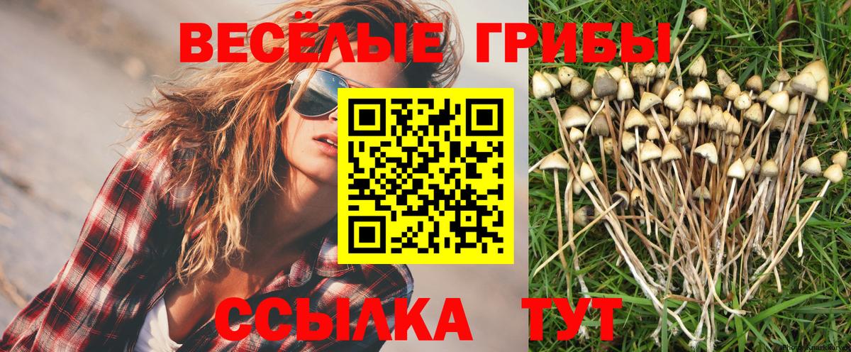 Галлюциногенные грибы MAGIC MUSHROOMS Шатура
