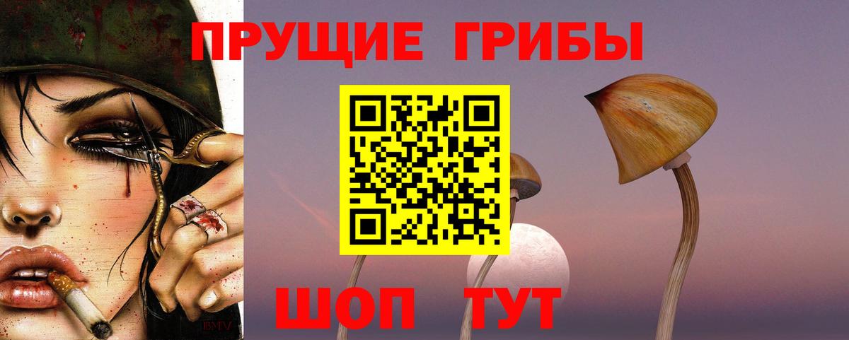 Шатура  Псилоцибиновые грибы GOLDEN TEACHER  Вход с VPN  Псилоцибиновые грибы MAGIC MUSHROOMS 
